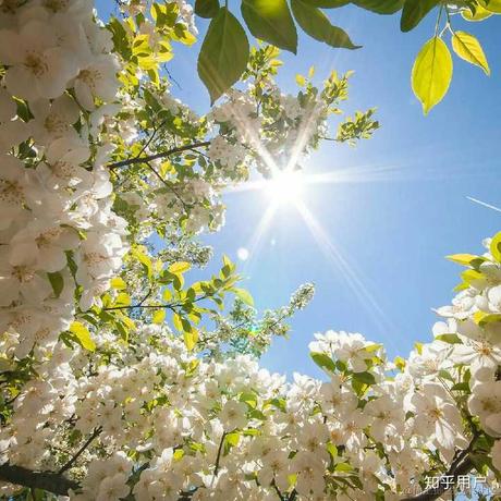 ToTheMoon于2023-08-12 18:30发布的图片