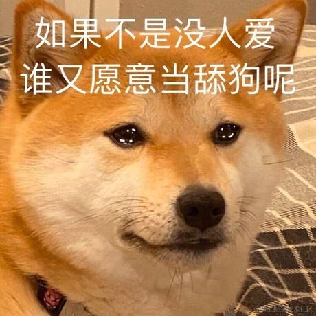 落日弥漫的橘于2021-05-12 14:29发布的图片