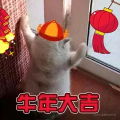 image-20210212212948271