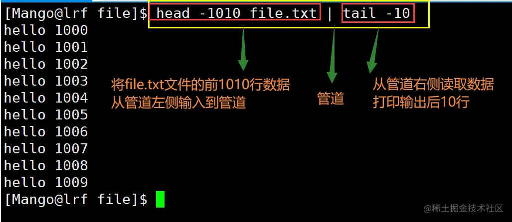 image-20220227105951911