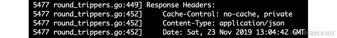 图 4.20：显示响应头的部分输出