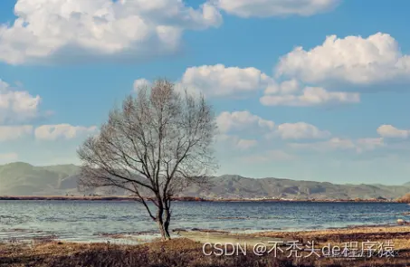 在这里插入图片描述