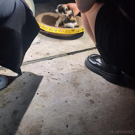 用户113997850954于2023-05-06 20:47发布的图片