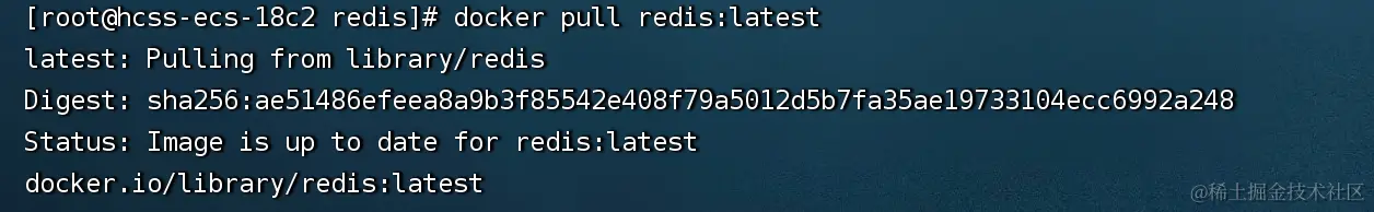 ![[imgs/pull redis.png]]