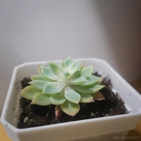 丁页石宛嘉心米唐于2022-11-26 20:55发布的图片