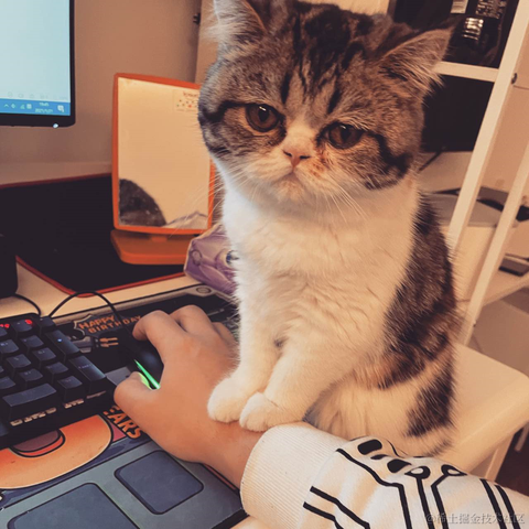 豆饼于2021-09-28 09:25发布的图片