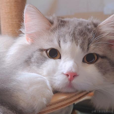 吵钢yu于2023-12-06 11:22发布的图片