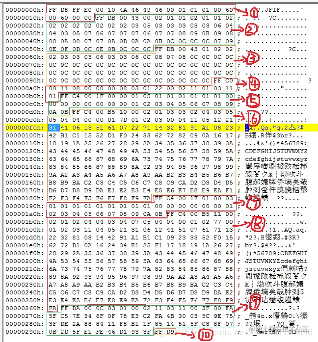 jpeg二进制代码示范