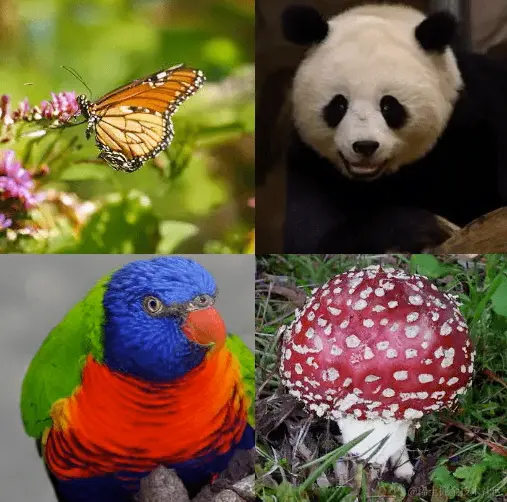 图片 16.png
