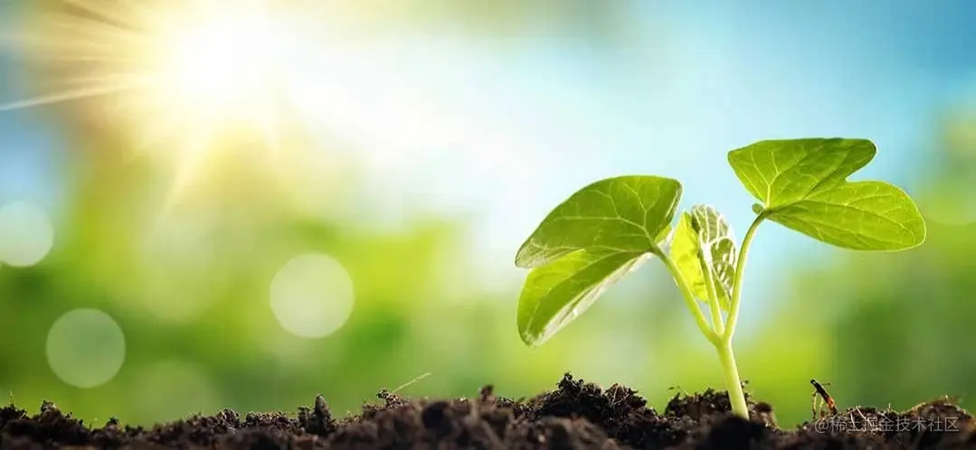 image-20230320143953283