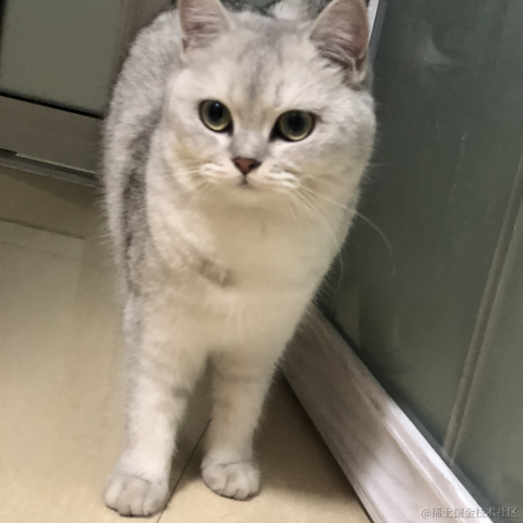 HelloGitHub于2020-10-06 17:59发布的图片