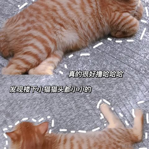 Raee于2023-05-04 23:29发布的图片