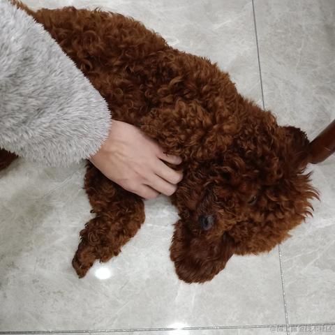 一曲尽喜悲于2020-09-29 14:43发布的图片