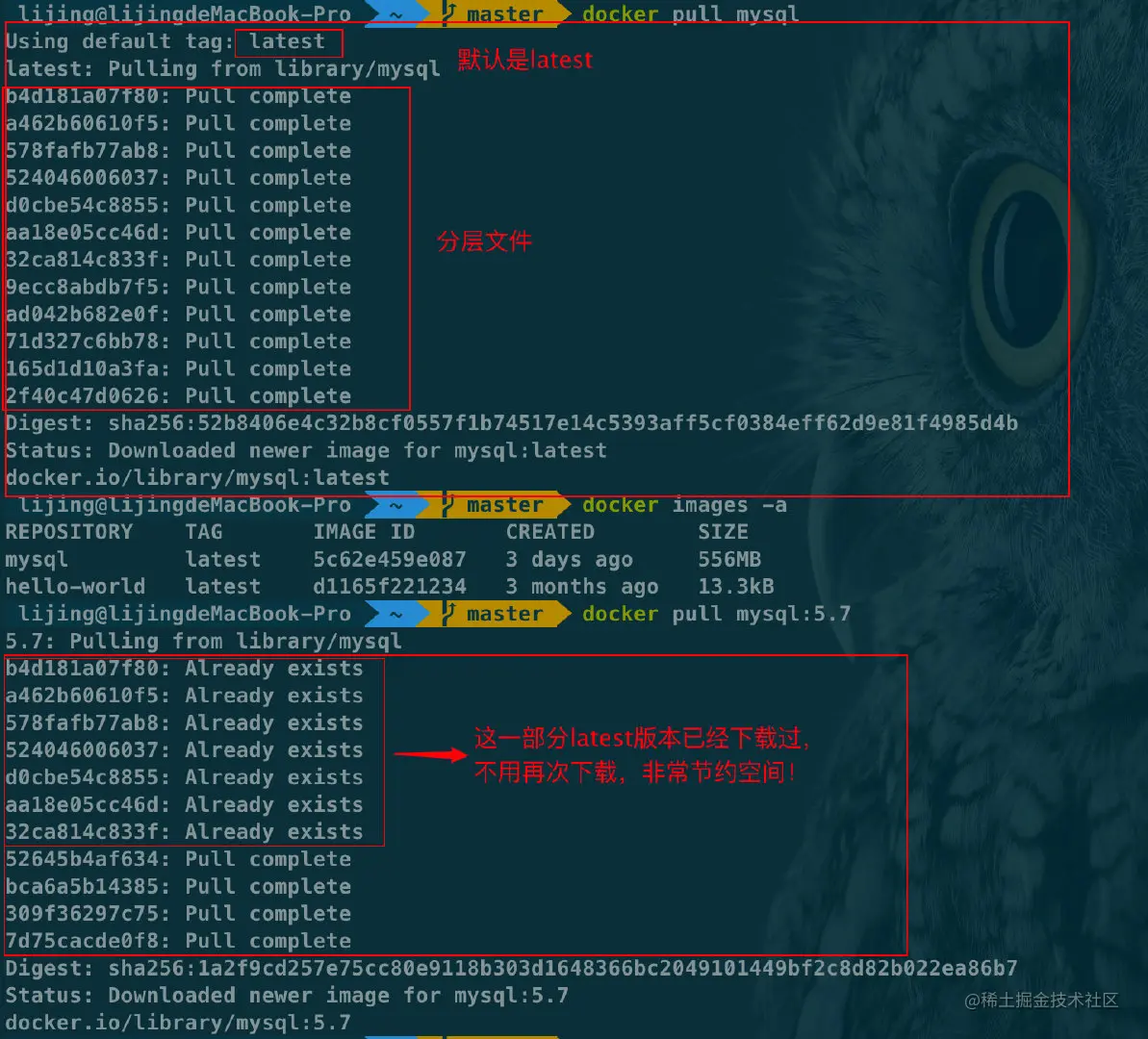 image-20210626171344108