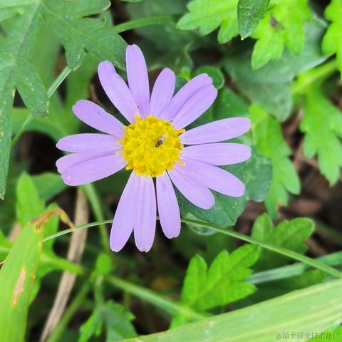 Can0e于2022-11-29 08:39发布的图片