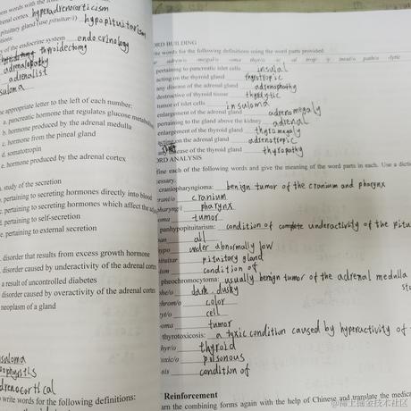 晚晚太阳系第一可爱于2022-11-18 13:22发布的图片