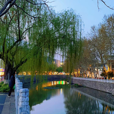 ntses于2023-04-01 18:38发布的图片