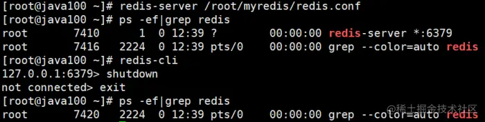 image-20230213134008183