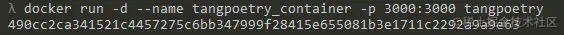 tangpoetry 容器