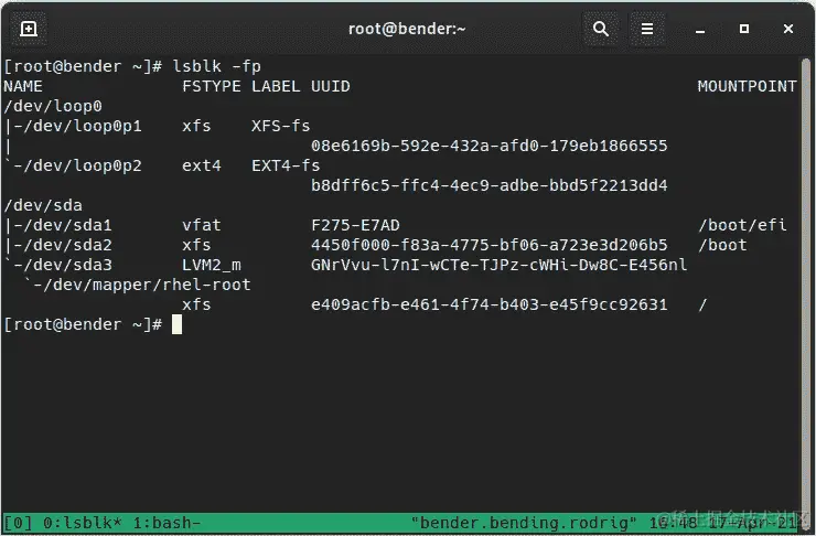 图 12.7—创建文件系统后 lsblk –fp 的输出
