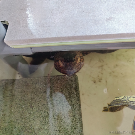 猛猛学习于2023-05-18 09:36发布的图片