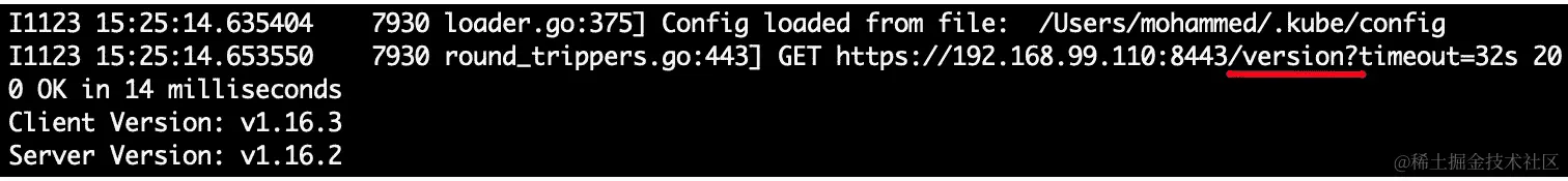 图 4.30：kubectl 版本命令的请求 URL