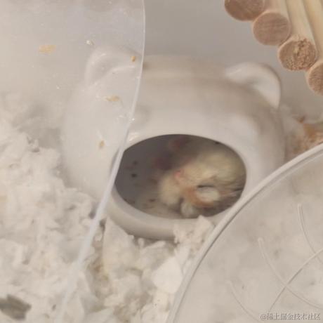 龙王980于2022-11-19 11:50发布的图片