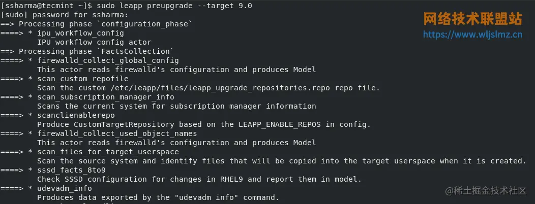 执行 RHEL 预升级