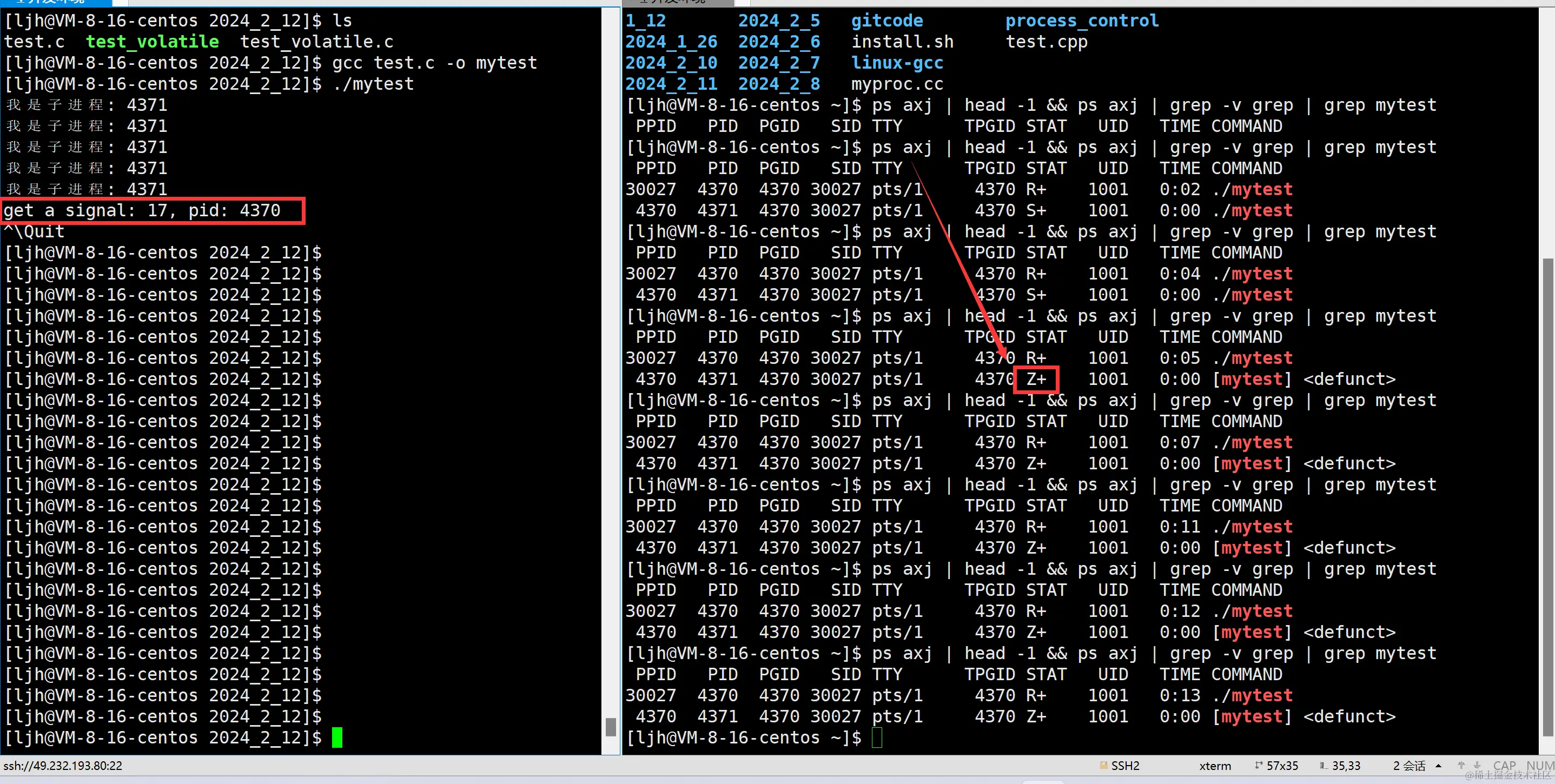 image-20240212013311638