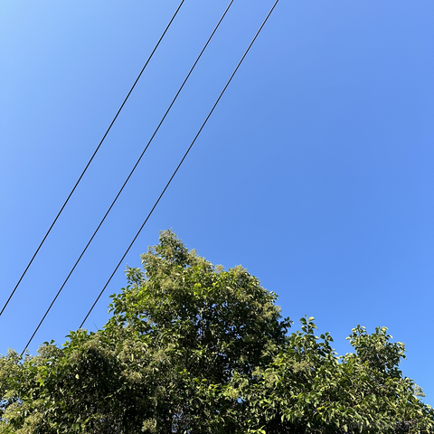 李意绵于2023-09-04 09:01发布的图片