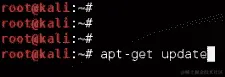 结合 Kali Linux 和树莓派