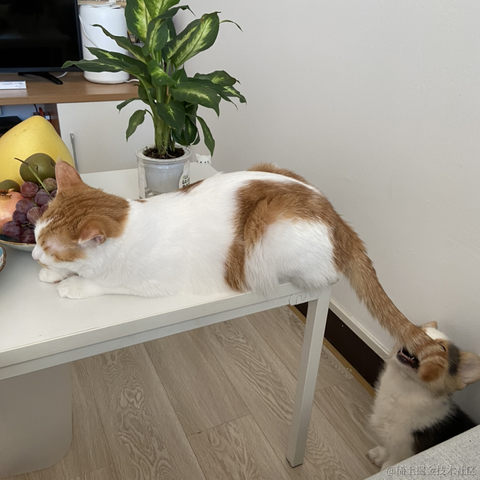 爱吃涮羊肉的Bug开发于2021-10-15 16:26发布的图片