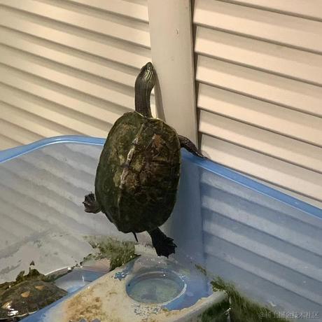 FlyLow于2021-07-06 10:04发布的图片