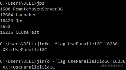 image-20210222210049505