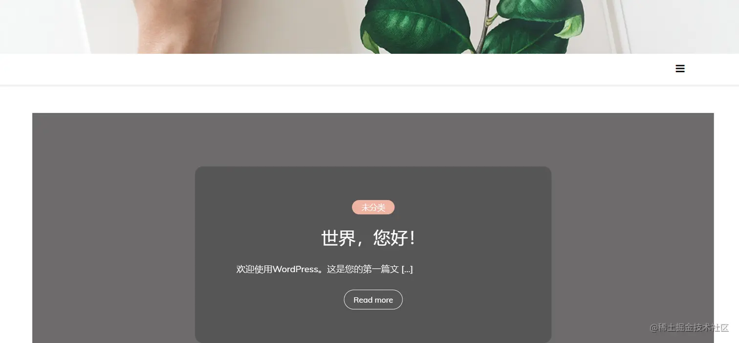 image-20220213181837391