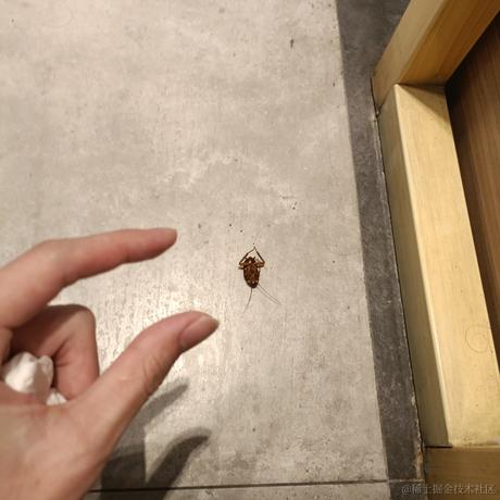 我的掘金博客于2023-07-27 08:38发布的图片