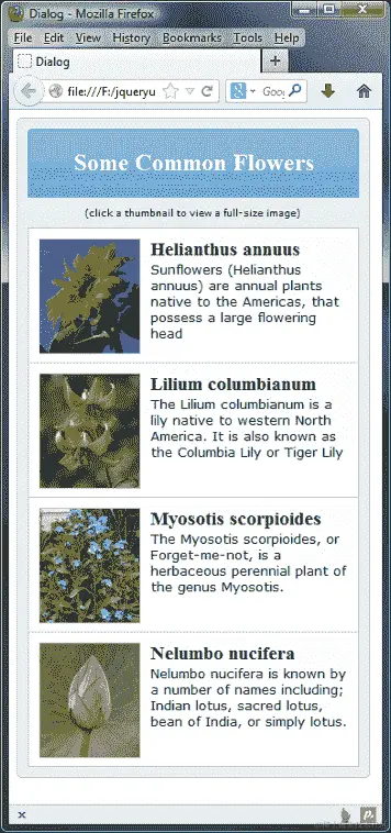 创建动态基于图像的对话框