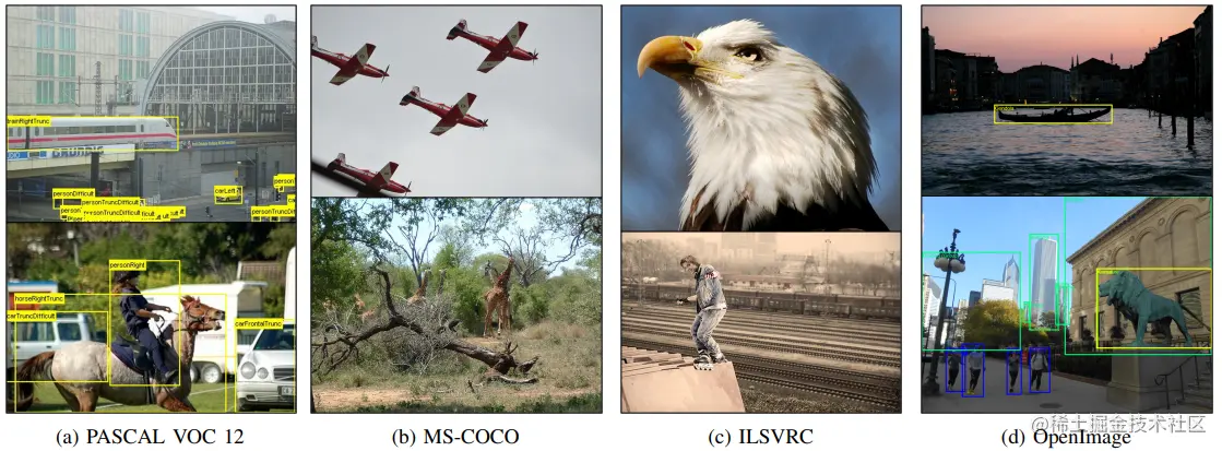  Sample images from different datasets.