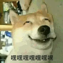 21494ca10b23d18f24c4e1f3f82616d1.jpg