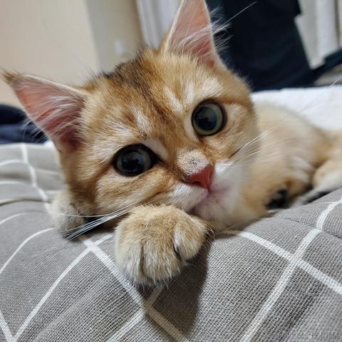 将军山最速下山传说于2020-12-15 08:28发布的图片