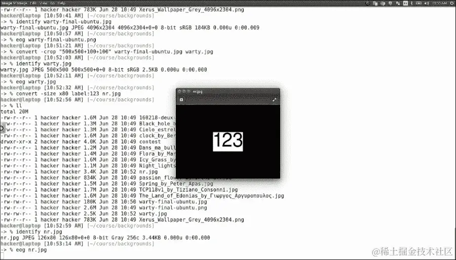 缩小咒语和其他 ImageMagick