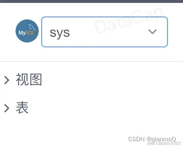MySQL 类型数据库