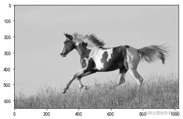 [外链图片转存失败,源站可能有防盗链机制,建议将图片保存下来直接上传(img-T7RzGbTo-1637755113594)(output_2_1.png)]