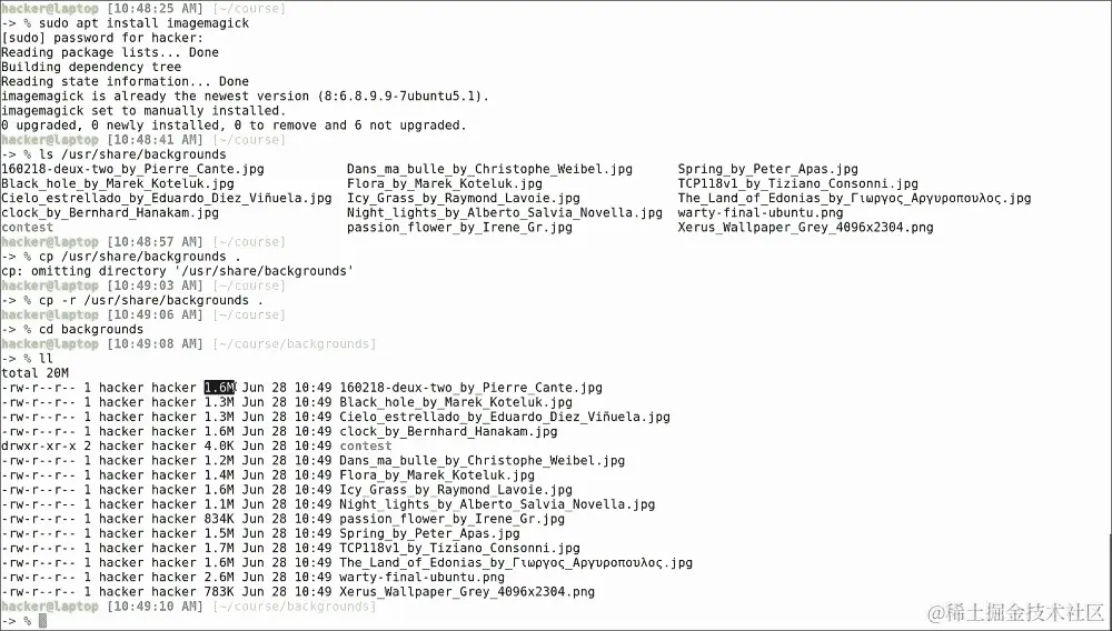 Shrinking spells and other ImageMagick