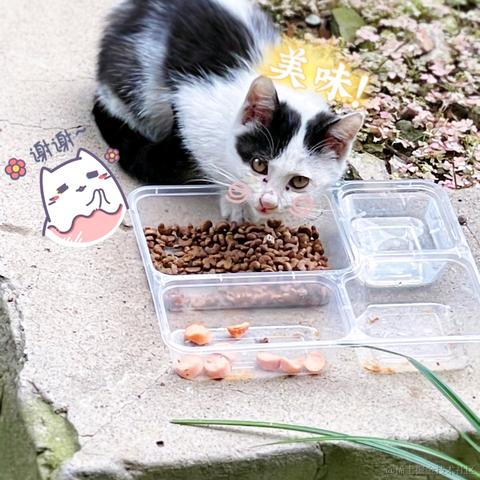 暖阳之时于2021-09-18 15:19发布的图片