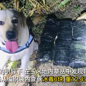倔强的犬哥于2023-03-16 09:22发布的图片