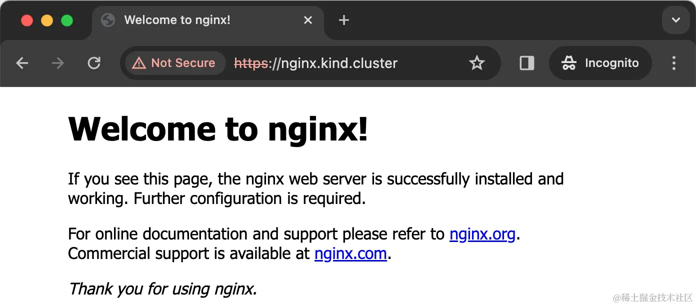 nginx