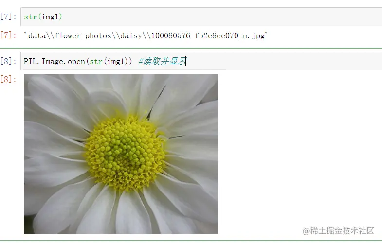 image-20220731201712941