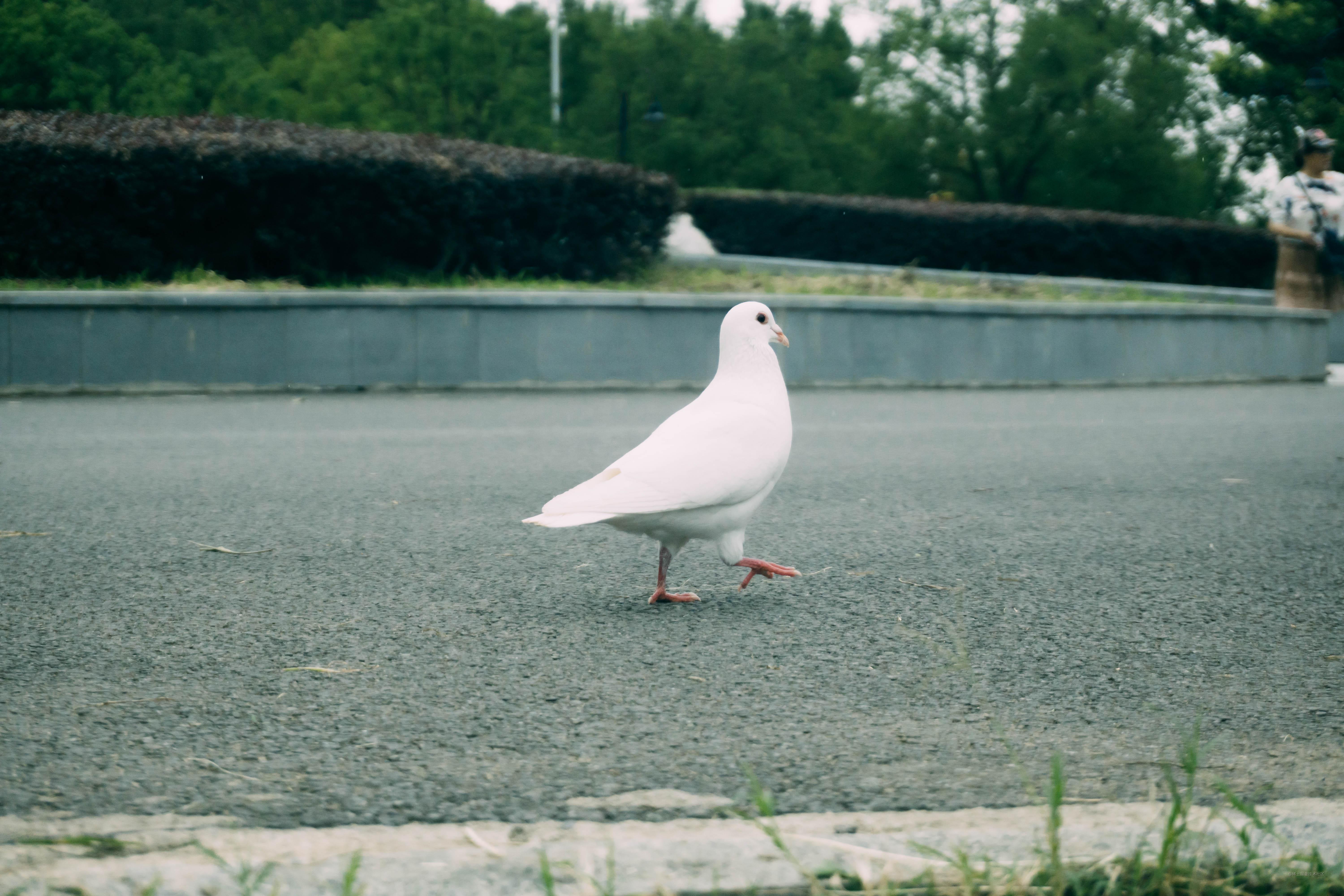 青训营