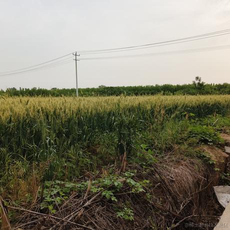 bthh于2023-05-21 07:57发布的图片